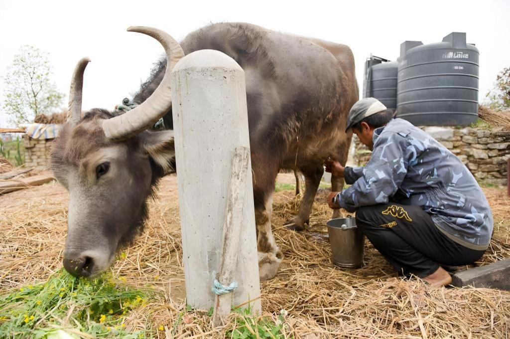 Hananoie - A Permaculture Resort Pokhara Dış mekan fotoğraf