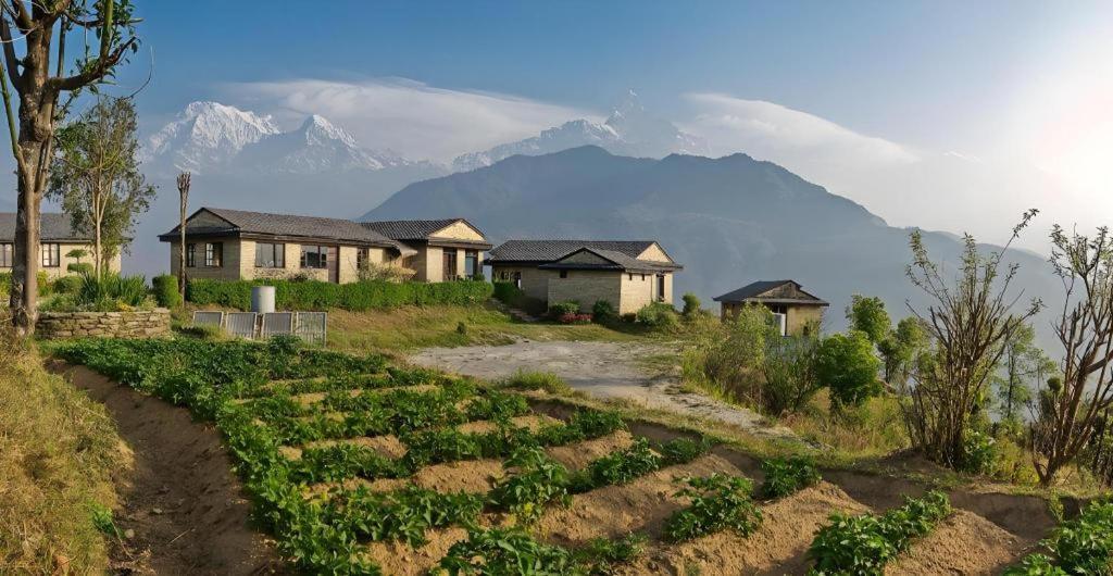 Hananoie - A Permaculture Resort Pokhara Dış mekan fotoğraf